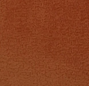 Focus 13 orange