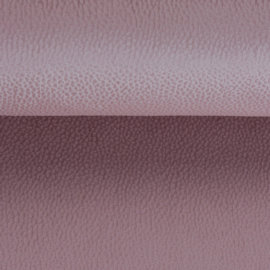 Solar 61