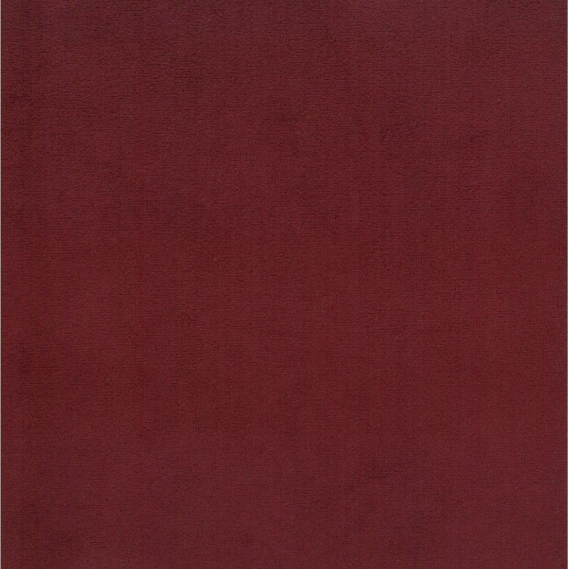 Scot 2