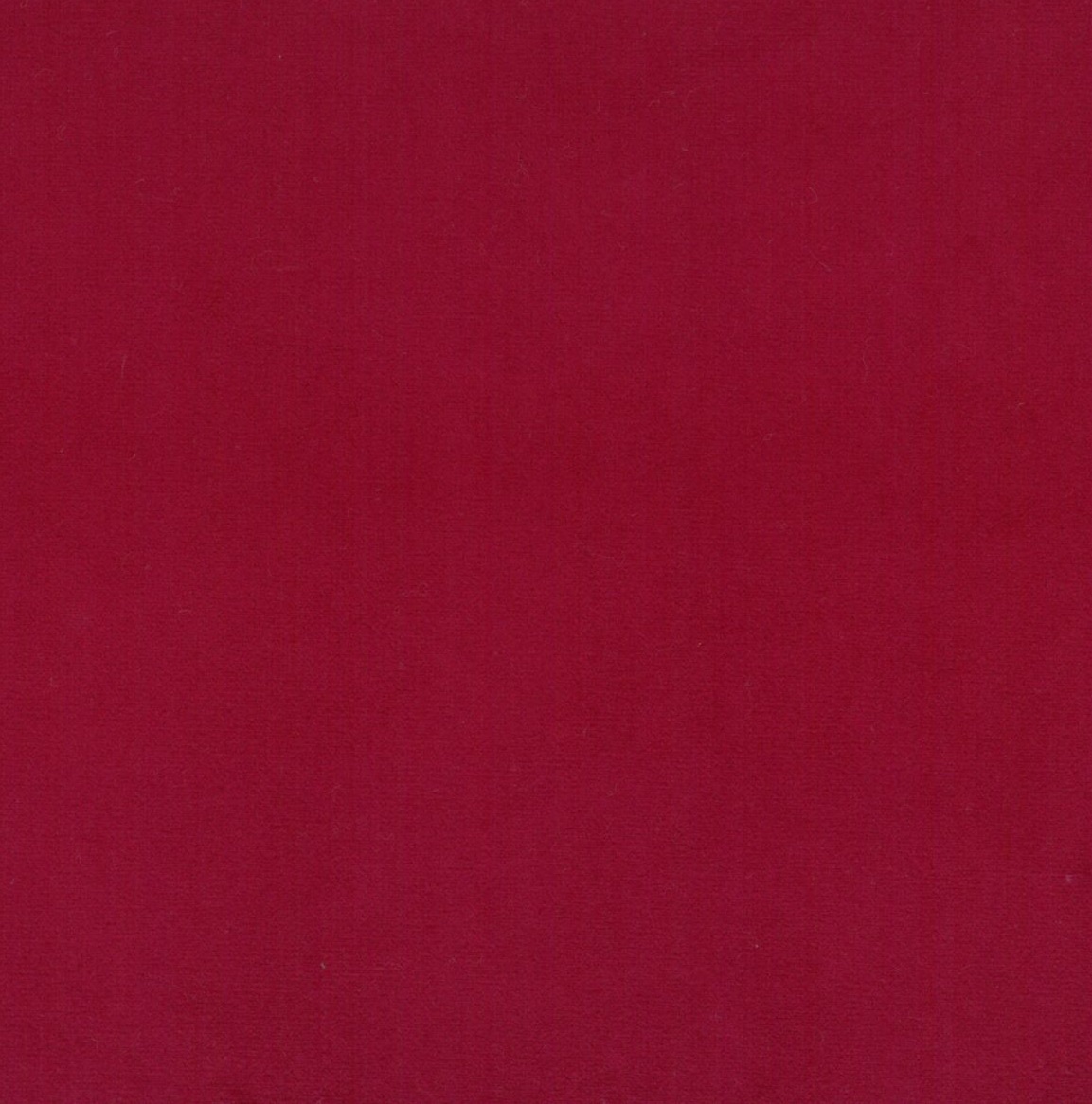 Scot 10