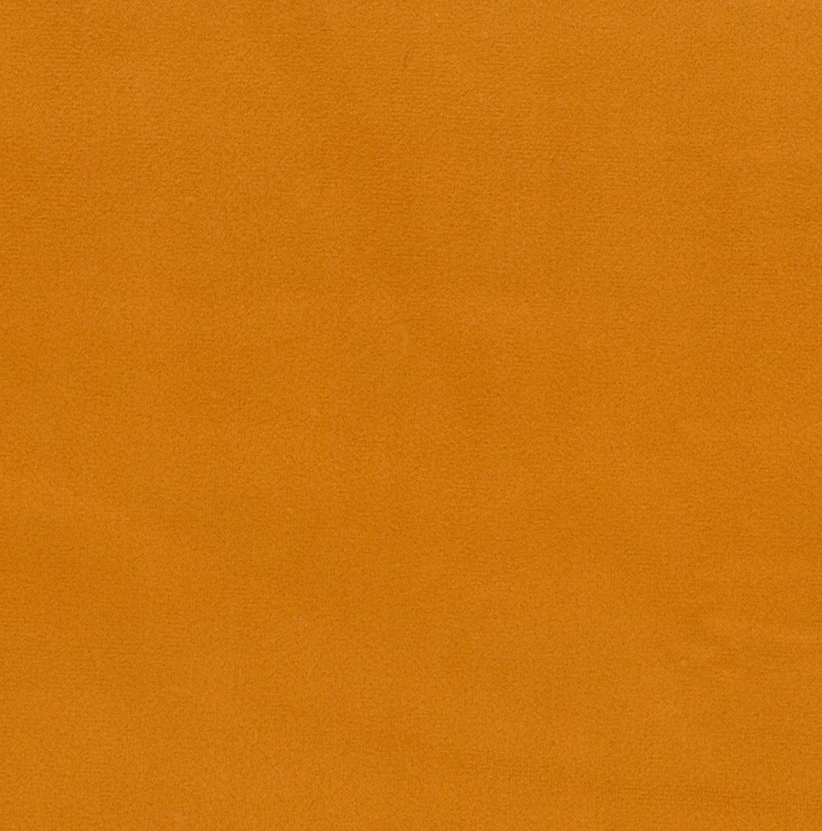 Scot 13