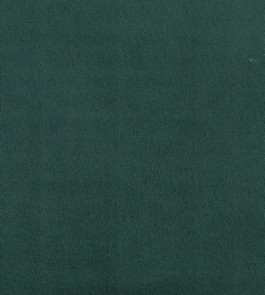 Velvet 64 green