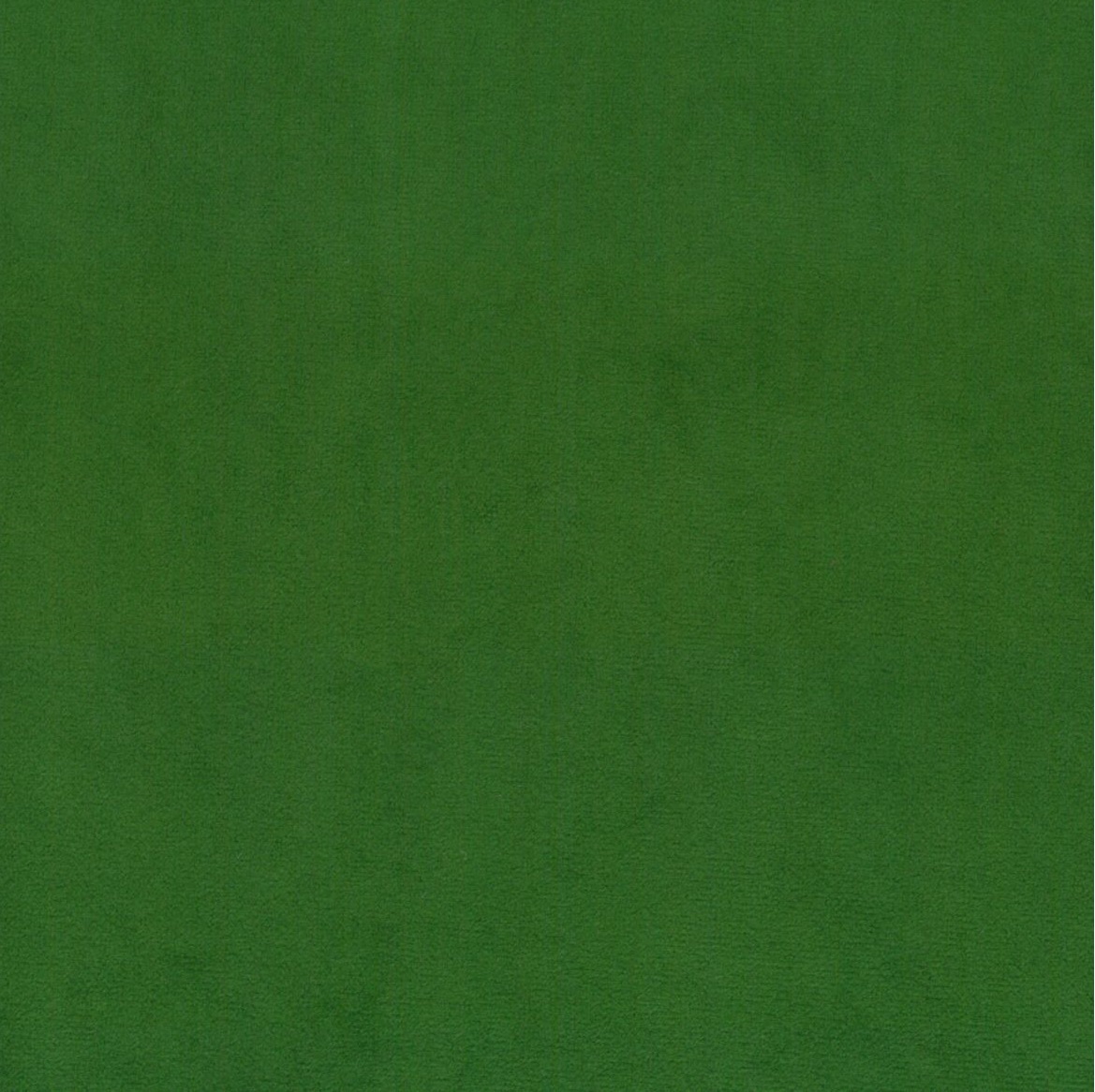 Scot 8