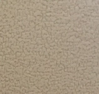 Focus 02 cream