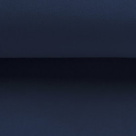 riviera 81