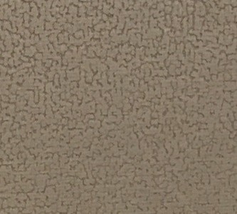 Focus 04 stone