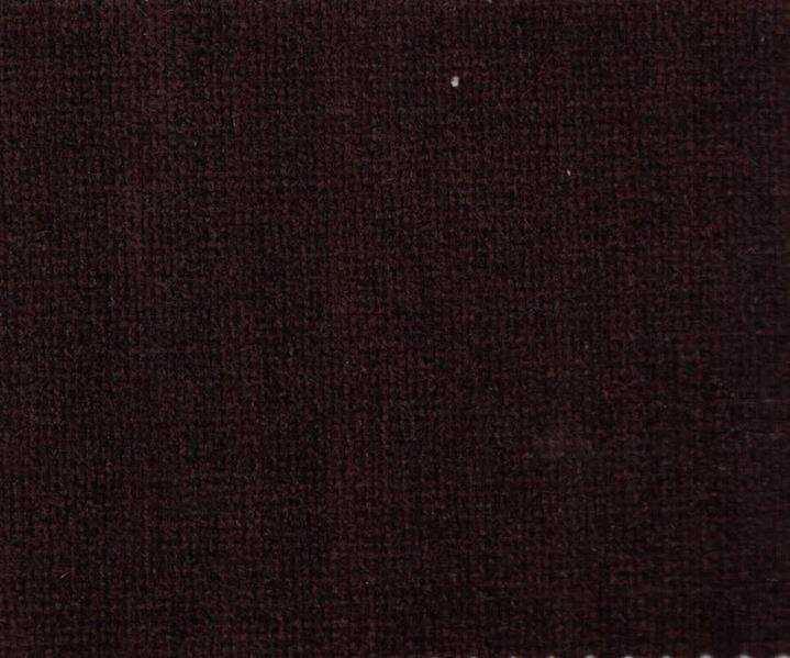 Orion 8