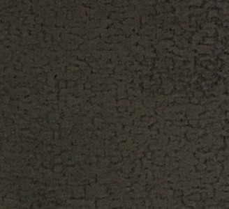 Focus 19 anthracite