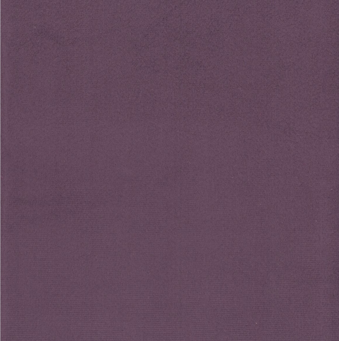 Scot 25