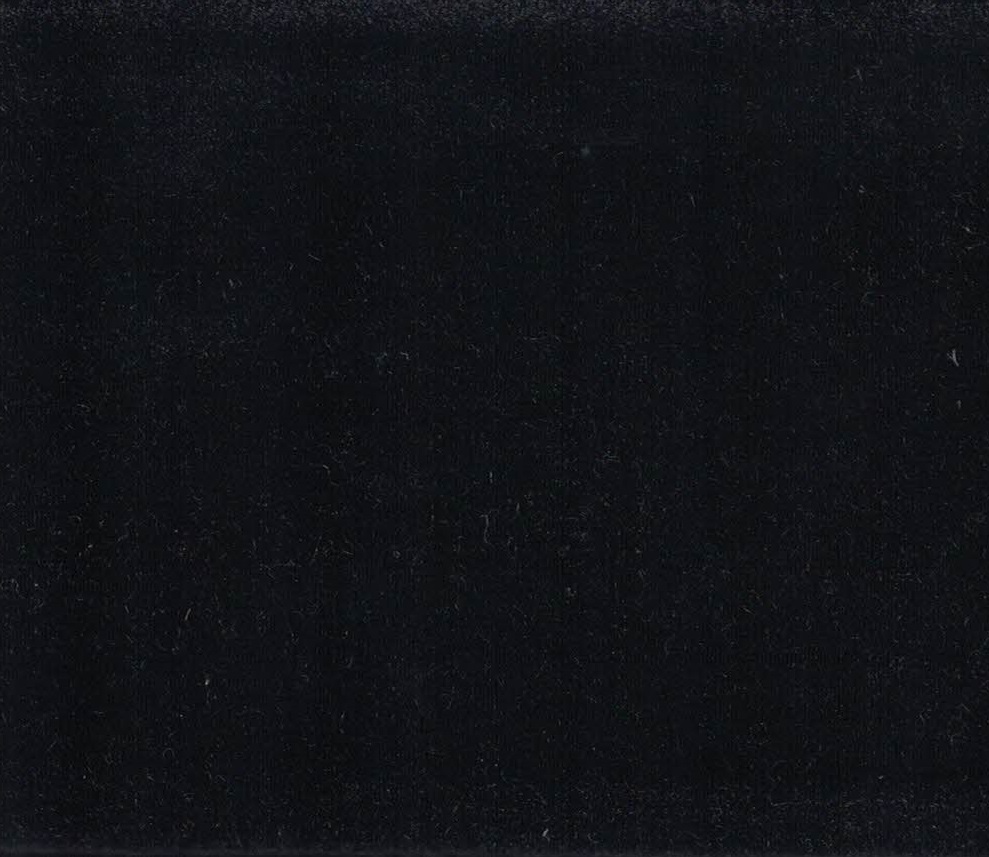 Velva 19 black