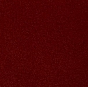 Focus 14 red