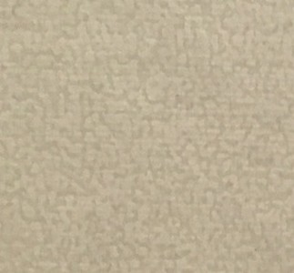 Focus 01 white