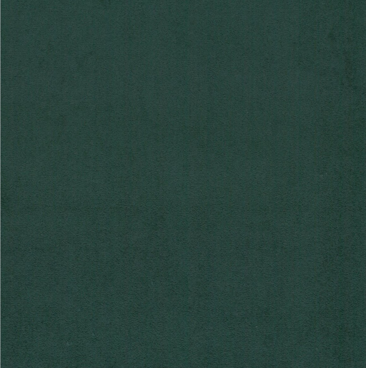 Scot 11