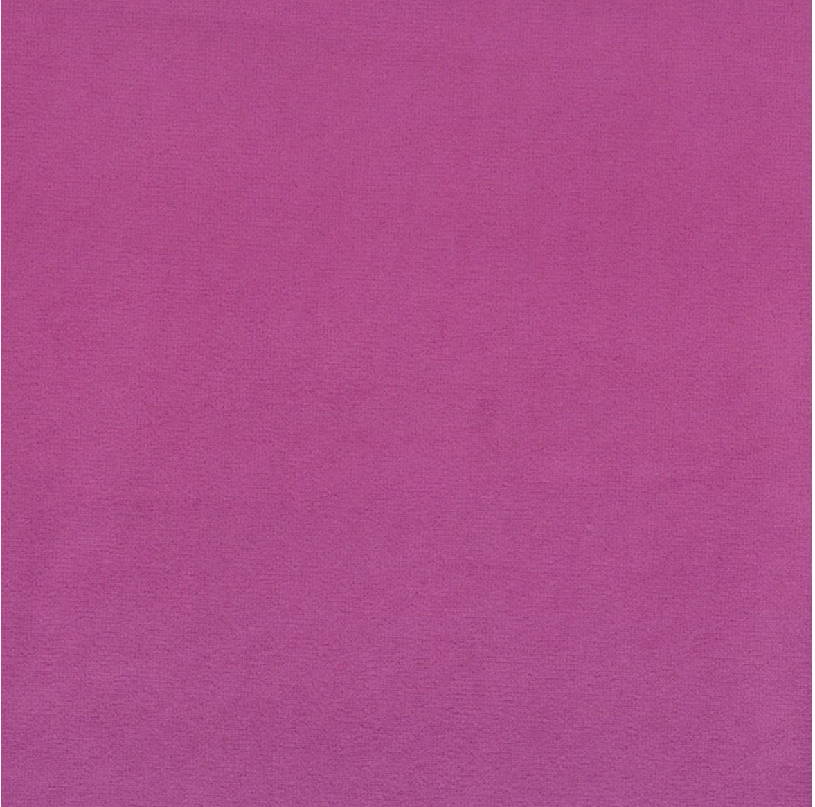 Scot 16