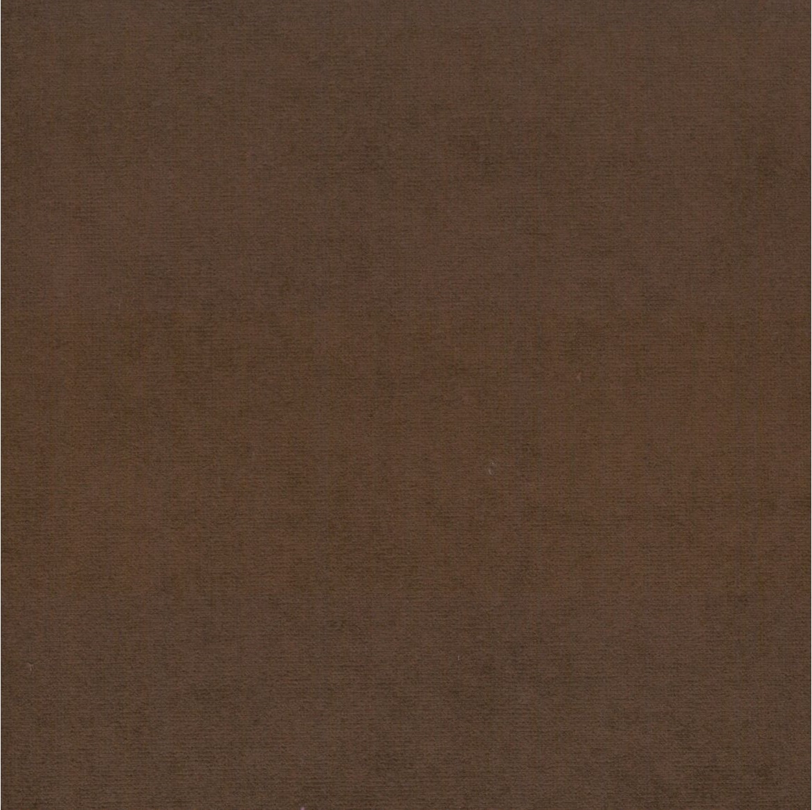 Scot 20