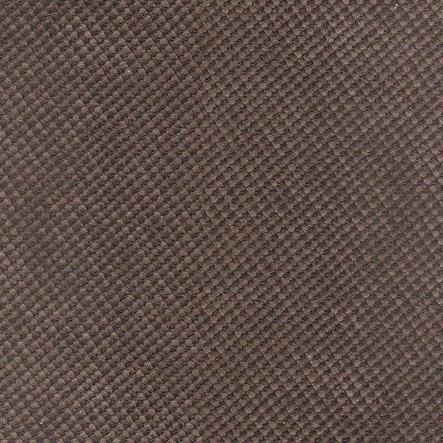 savoy-29