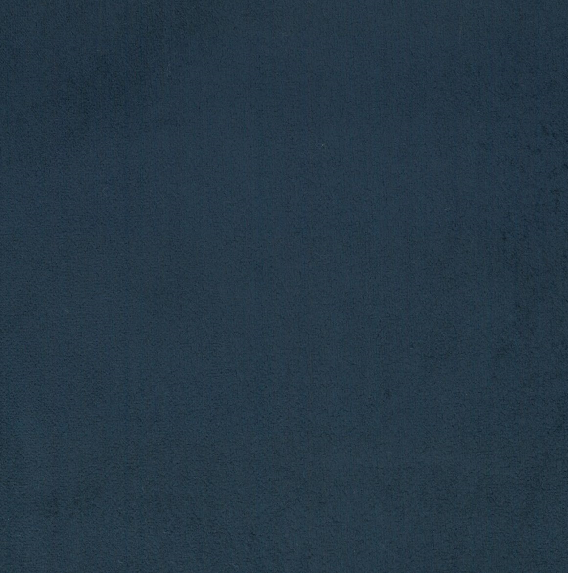 Scot 9