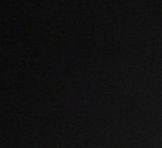Focus 20 black