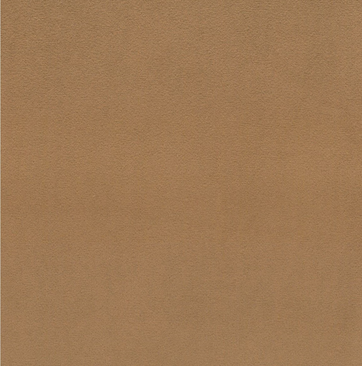 Scot 29