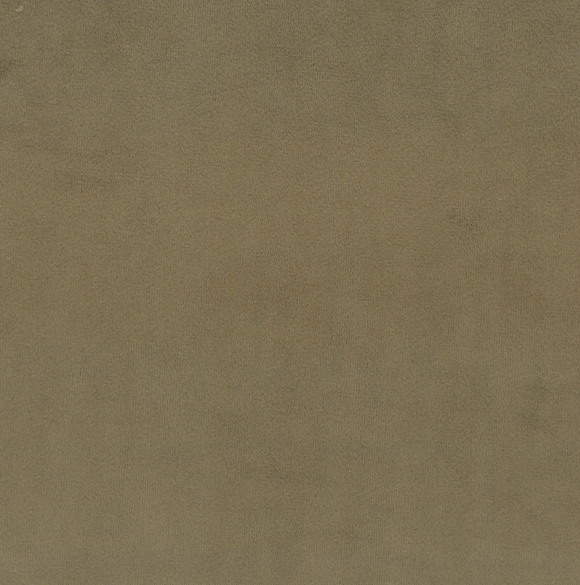 Scot 6
