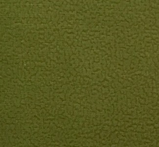 Focus 11 green
