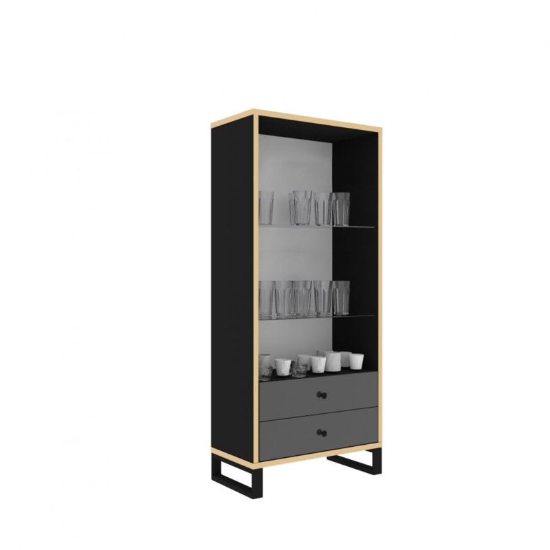 Prosklená vitrína HENRY 2S