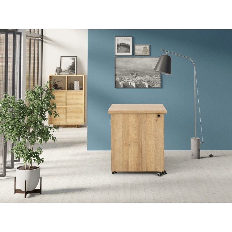 Pracovní stůl víceúčelový