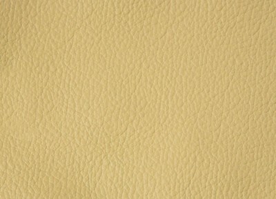 200 Ivory
