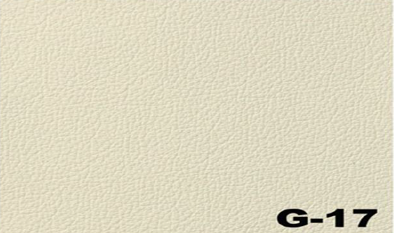 G-17