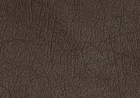 pastel dark brown