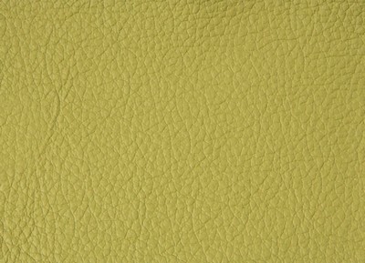 214 Pistachio